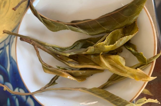 普洱茶十大学费茶排名，吉普H是学费茶？