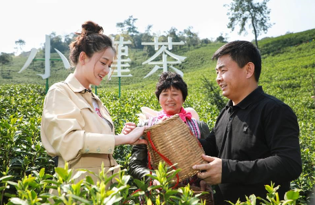 携手陈乔恩、陈漫 小罐茶玩转现代派春茶-焦点中国网